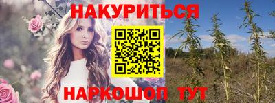 гидра Бийск