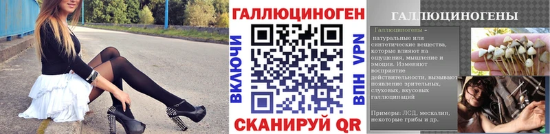 Галлюциногенные грибы Cubensis  Купить закладки  Киржач 