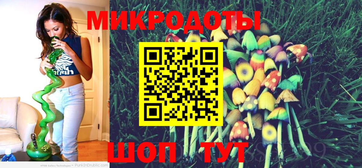 Псилоцибиновые грибы Psilocybine cubensis Киржач