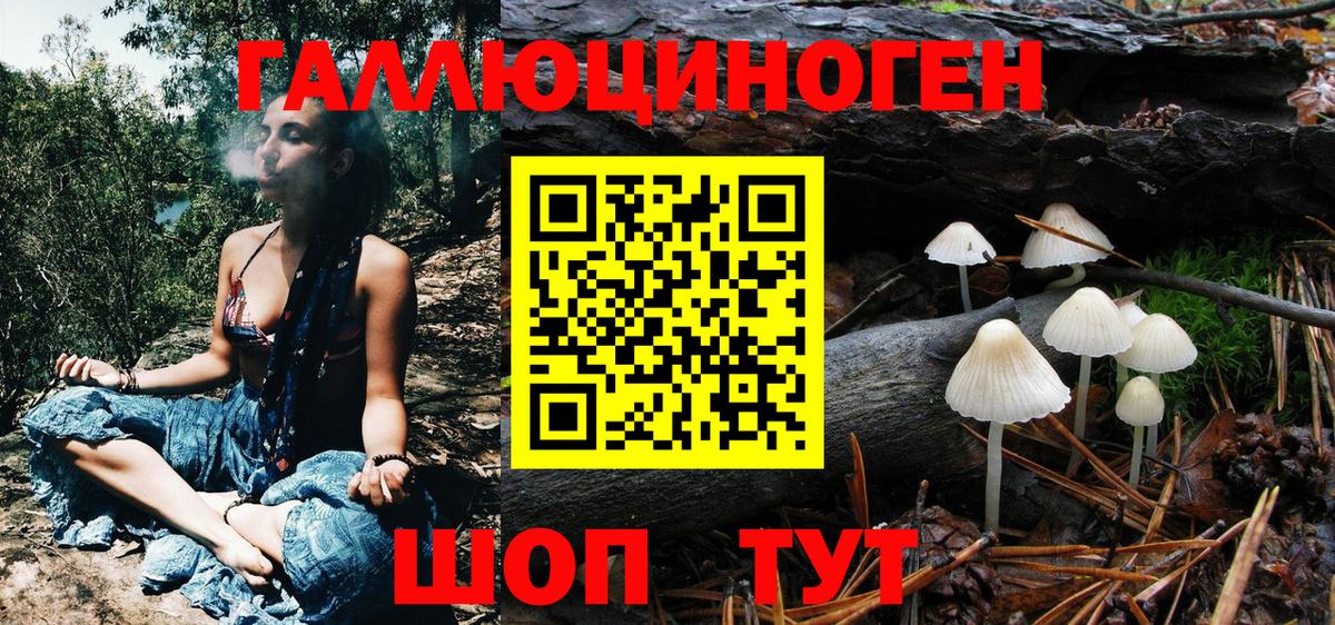 Галлюциногенные грибы Psilocybe Киржач