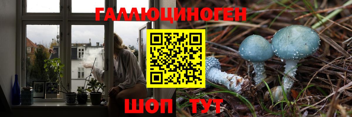 Псилоцибиновые грибы Psilocybine cubensis  Галлюциногенные грибы Magic Shrooms  Киржач 