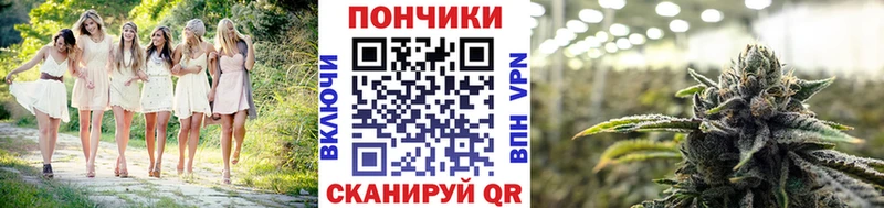 Конопля Bruce Banner  Купить  Киржач 